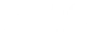 AMC channel logo