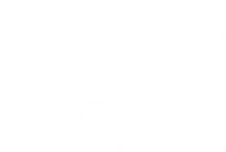 MTV channel logo